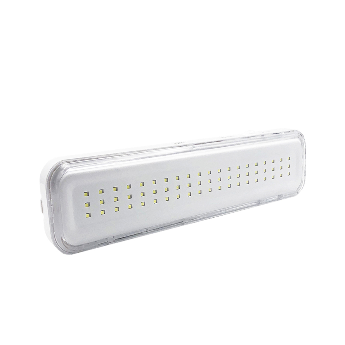 Lampada emergenza LED da 100 lumen configurabile SA/SE protezione